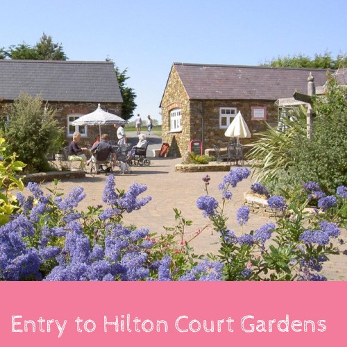 Life Seeker Competition - Entry to Hilton Court Gardens