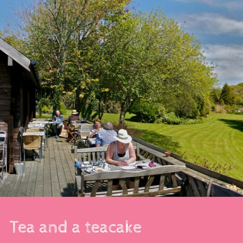 Life Seeker Competition - Tea & a teacake for four