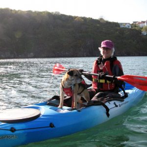 Kayaking-with-dog-The Real Adventure Company - Coastal Explorer - Pembrokeshire