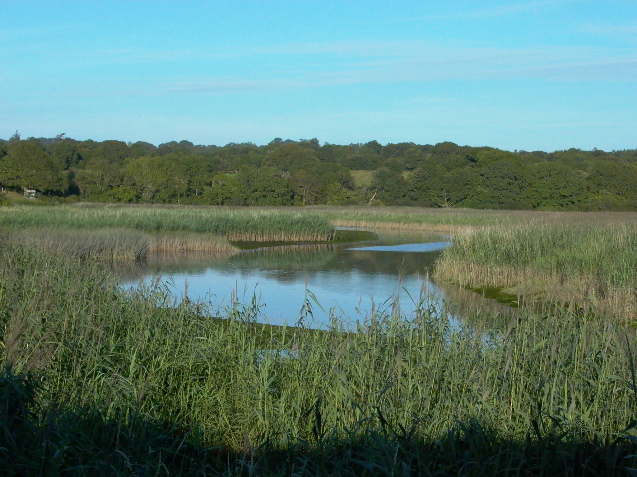 Oak tree cottage - Creek Hide -Cilgerran - FBM Holidays