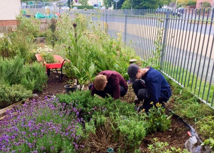 Penparcau Planting Scheme