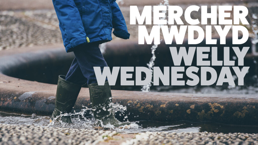 Welly Wed-3bbf715c