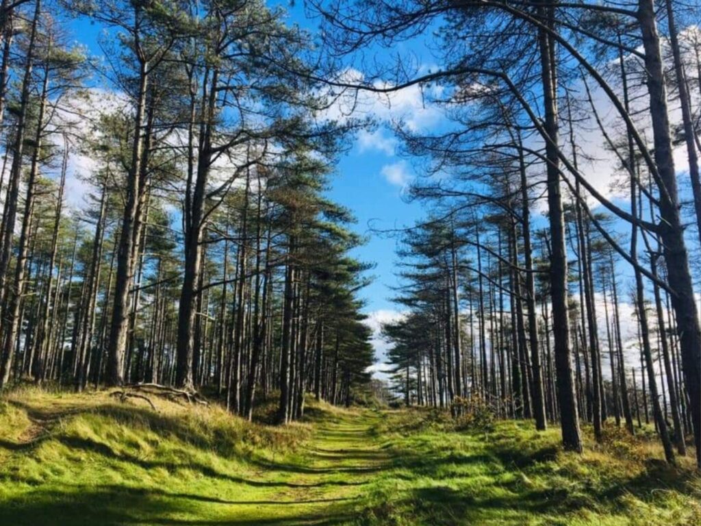 Pembrey Country Park-034a9170