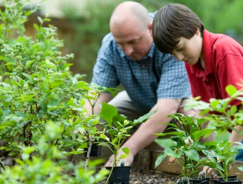 gardening male (2)-36bbe72b
