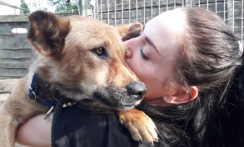 Paws Crossed Survivors Egypt-fe68e0ac