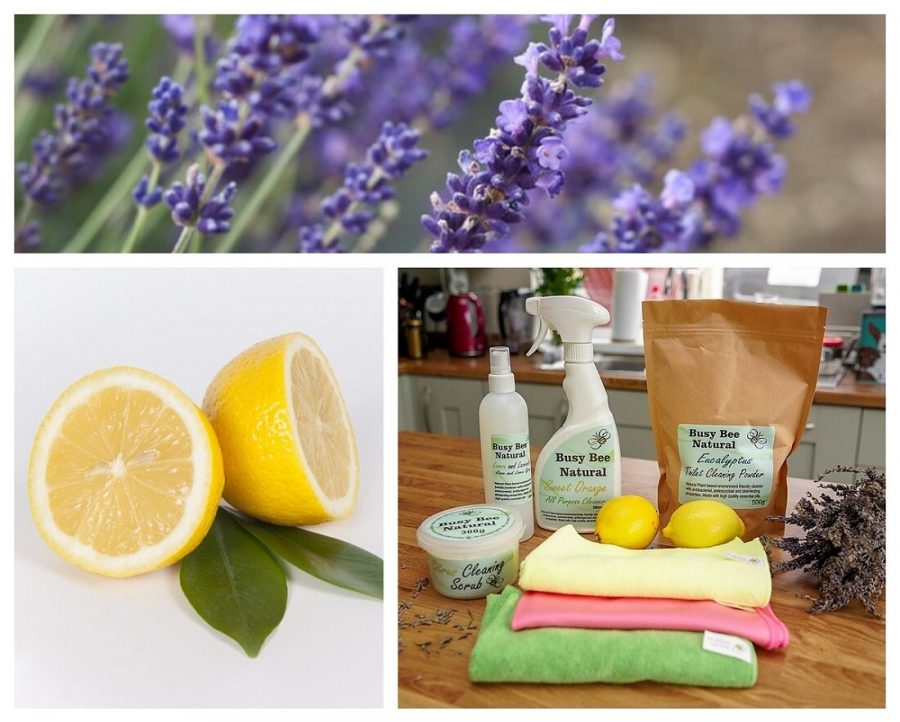 Busy Bee Natural Cleaning (1)-27904d7c