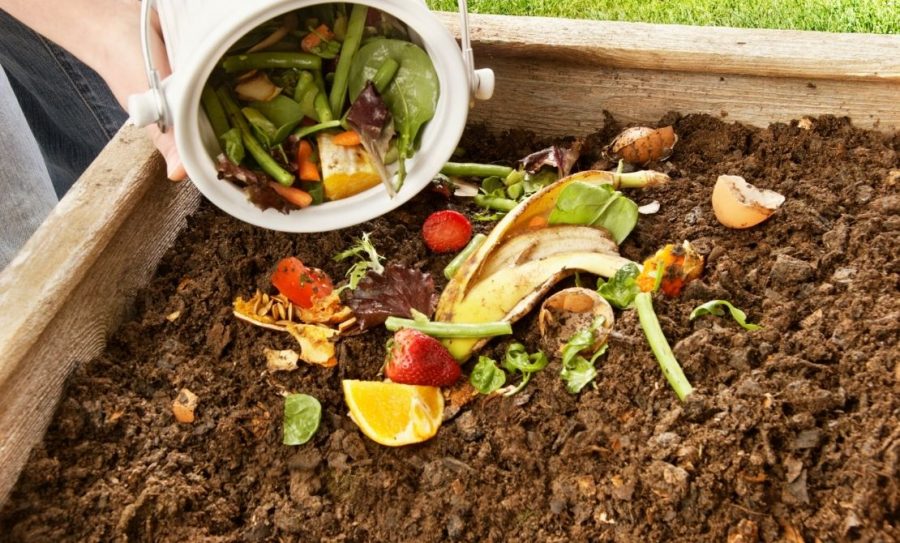 Composting-45ff0047
