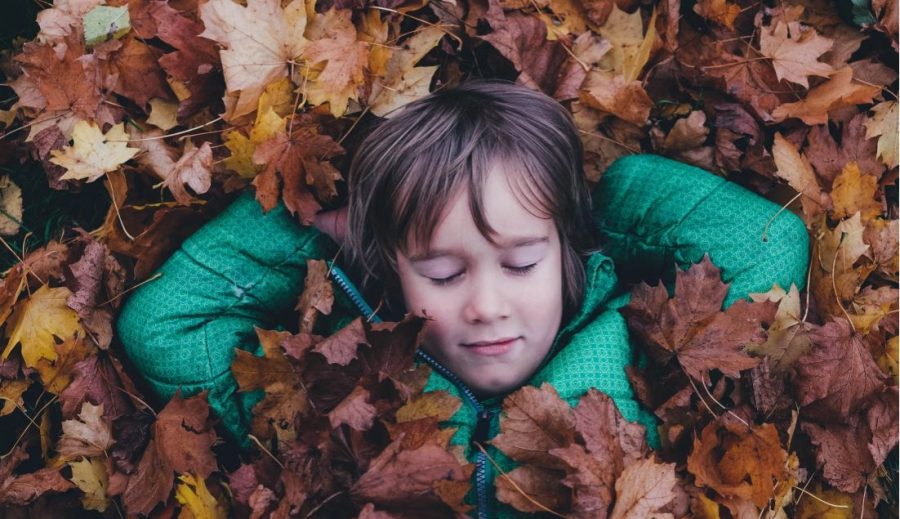 Photo credit: Annie Spratt on Unsplash