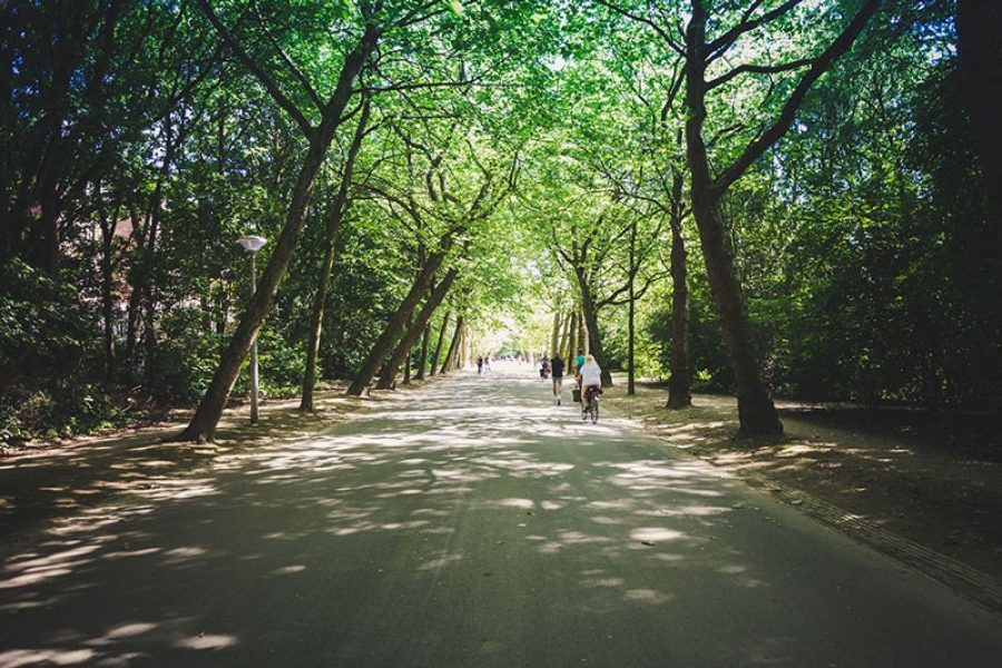 Happy-City---Understanding-the-connection-between-green-space-and-wellbeing