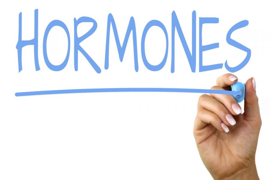 Haywire hormones in sport - LRT Coaching