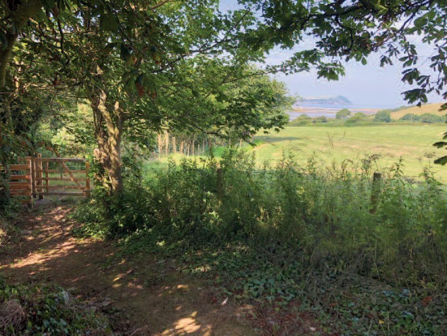 Llwybr Pwll Cornel View - Newport