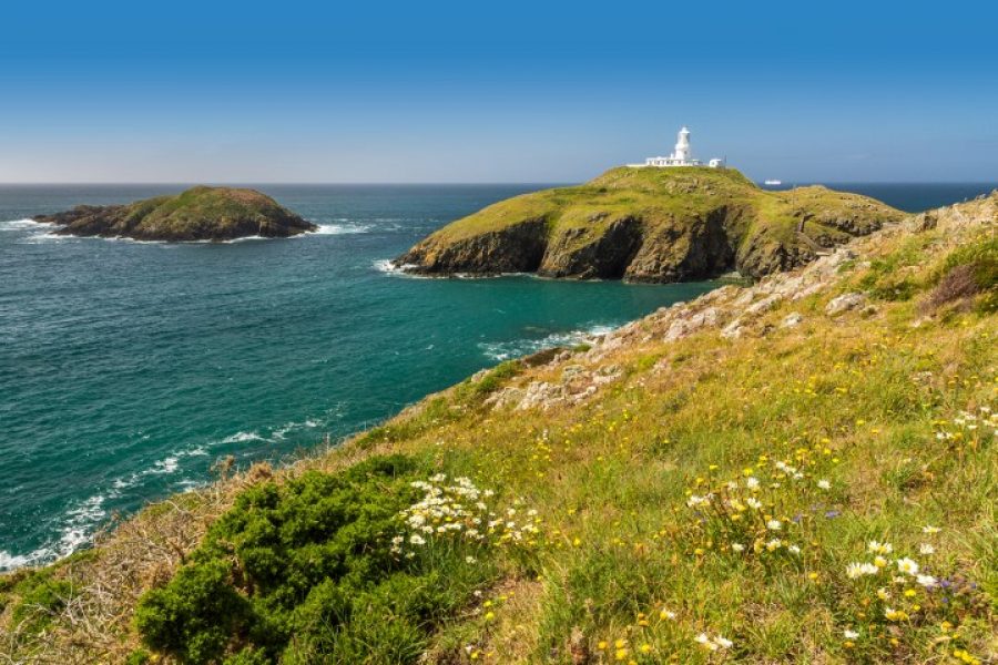 New charity partnership represents a step into the wild