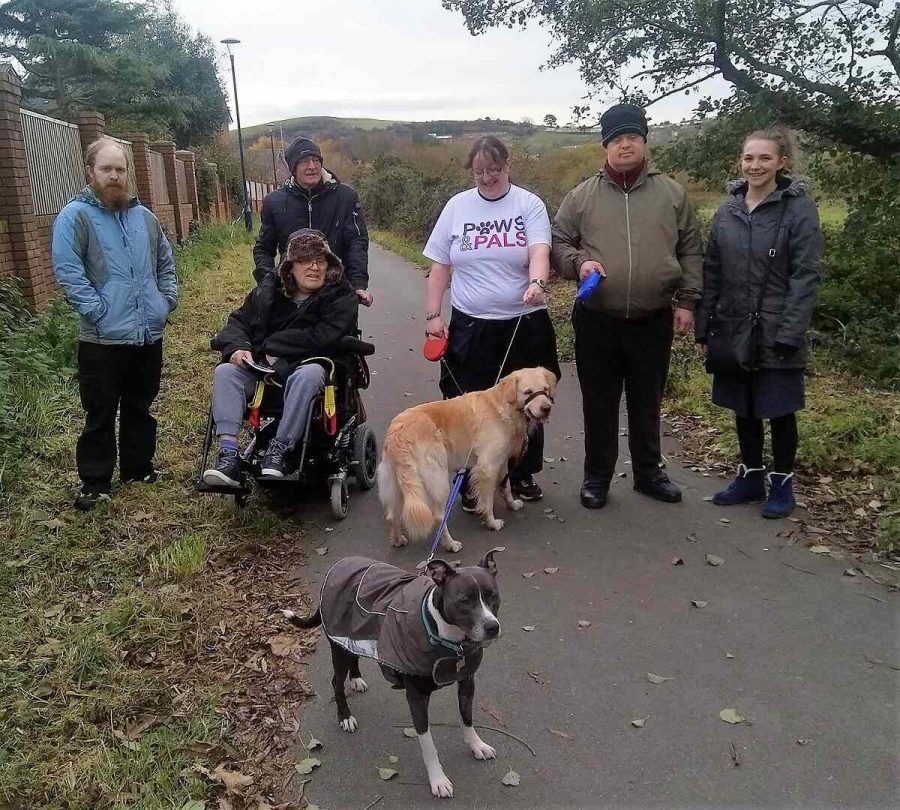 Paws and Pals Aberystwyth-ff7bfc5c