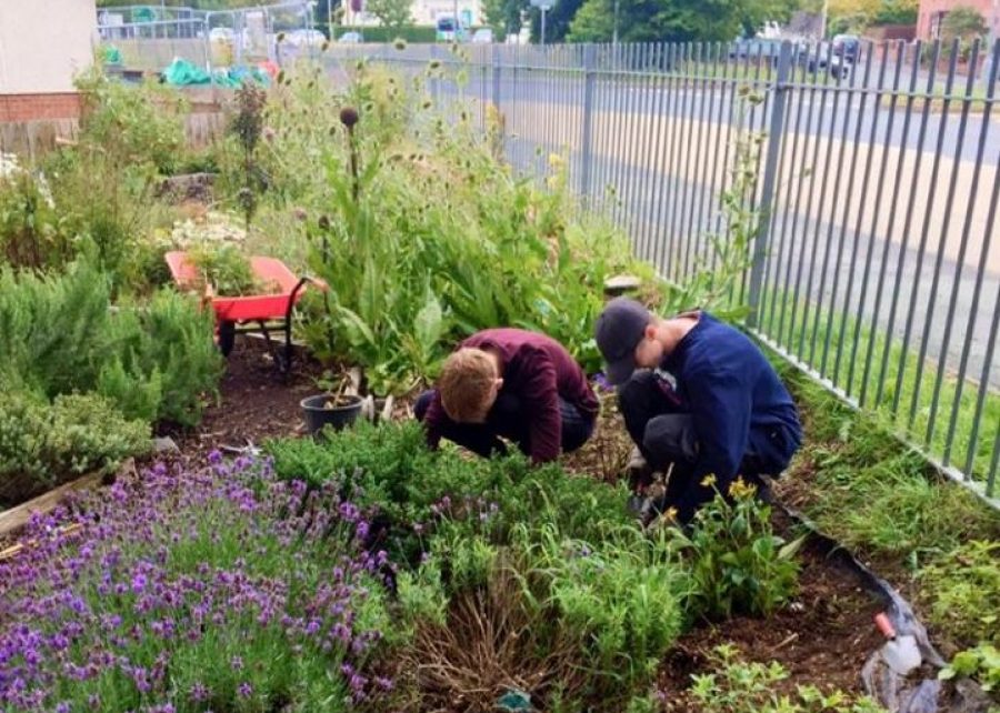 Penparcau Planting Scheme