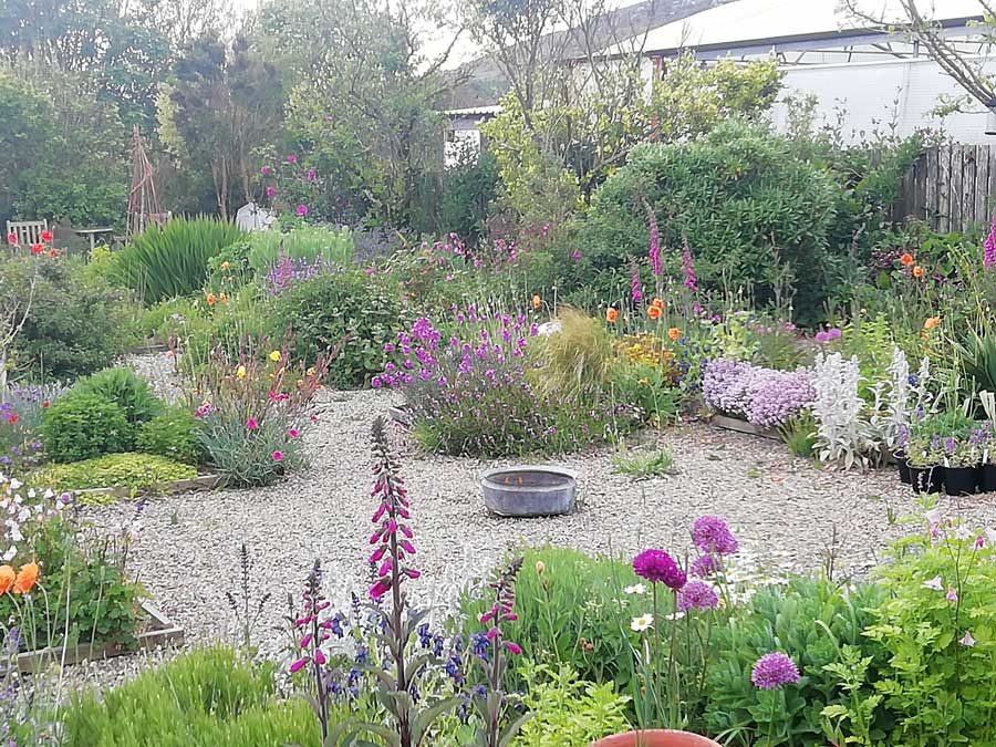 Perennial-UK Sown and Grown--St-Davids