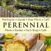 Perennial-Gardens-and-Nursery-logo