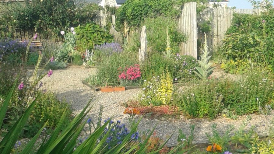Perennial Gardens - online tours - COVID19