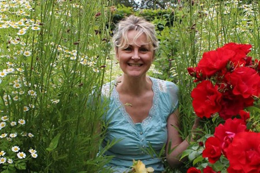 Sarah Wint - The Daisybus Gardens - Solva