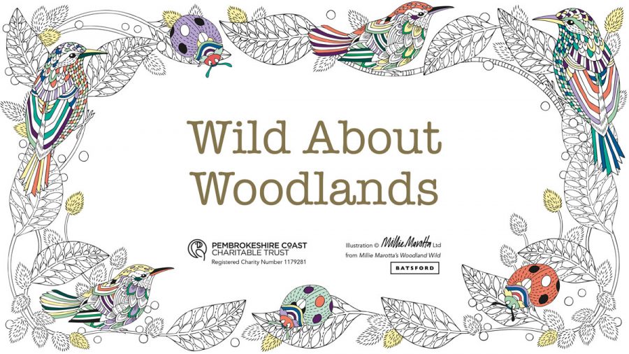 WildAboutWoodlands_1200