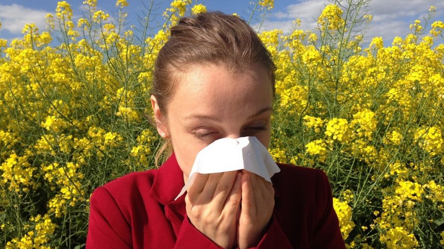 natural remedies available, which reduce inflammation as well as prevent the release of histamine