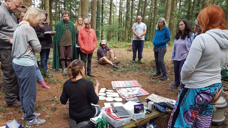 reconnect nature connection course - Pembrokeshire