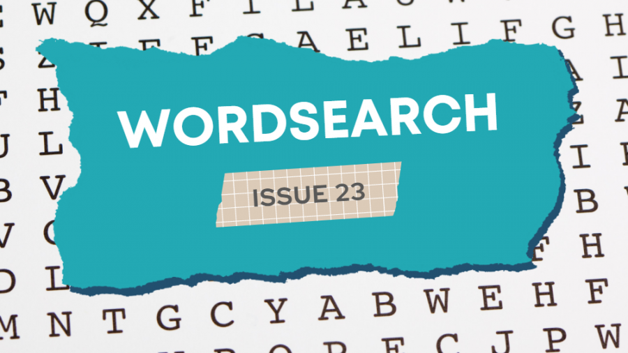 wordsearch23